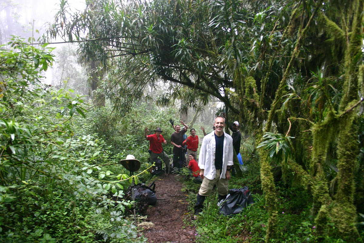rainforest on kilimanjaro umbwe route