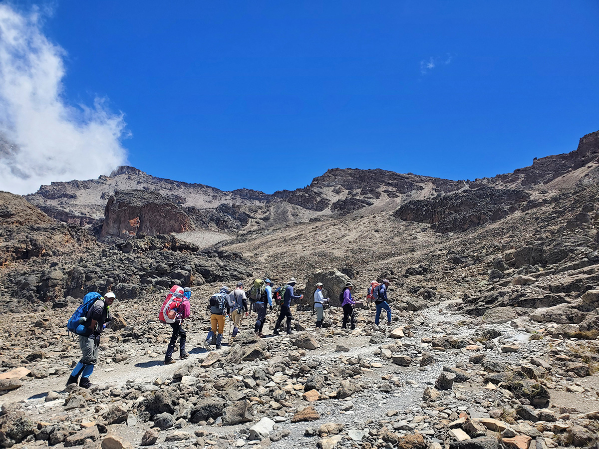 trekking kilimanjaros alpine desert