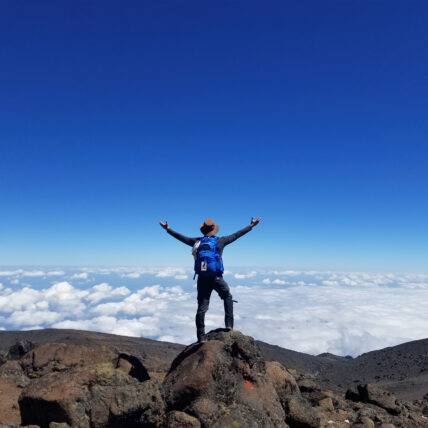 trekker climbing kilimanjaro above clouds