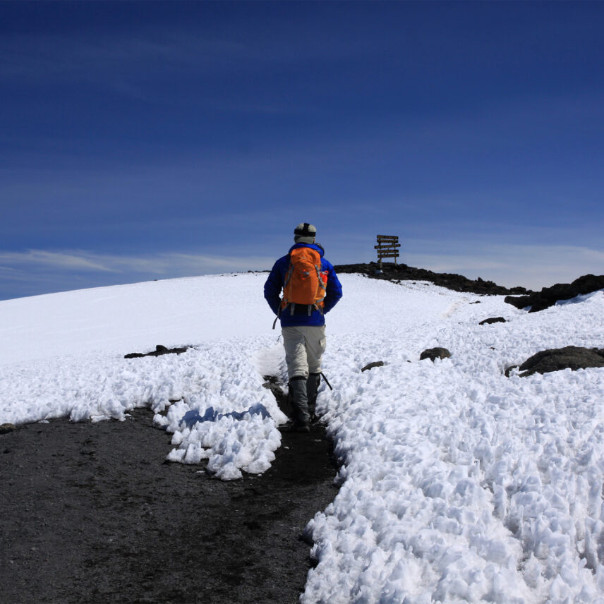 kilimanjaro trekker with summit sign in background