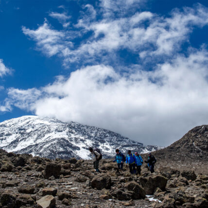 trekking through arctic desert on mount kilimanjaro