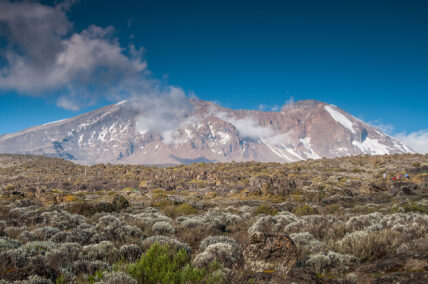 kilimanjaro shira plateau