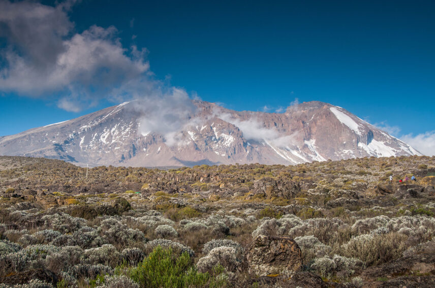 kilimanjaro shira plateau
