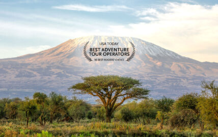 best kilimanjaro trekking operator award