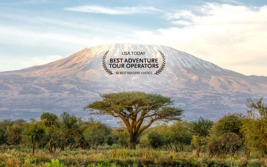 best kilimanjaro trekking operator award