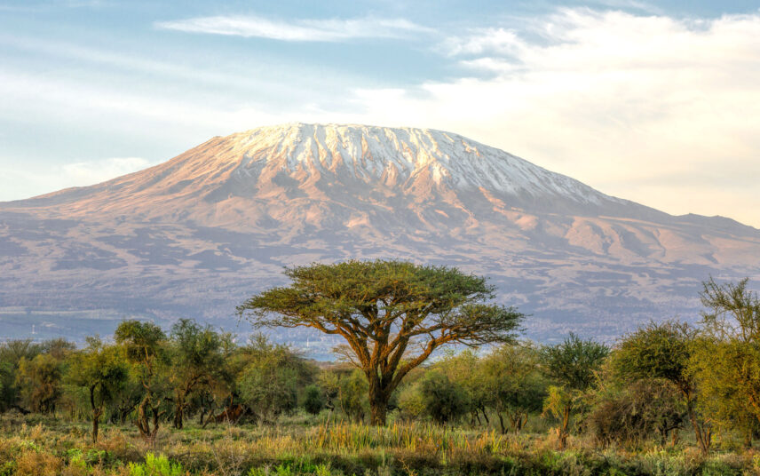 top adventure tour operator kilimanjaro award