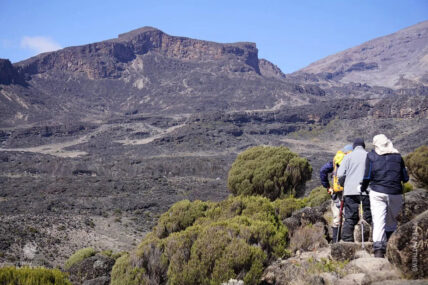thomson trekkers on mount kilimanjaro grand traverse route