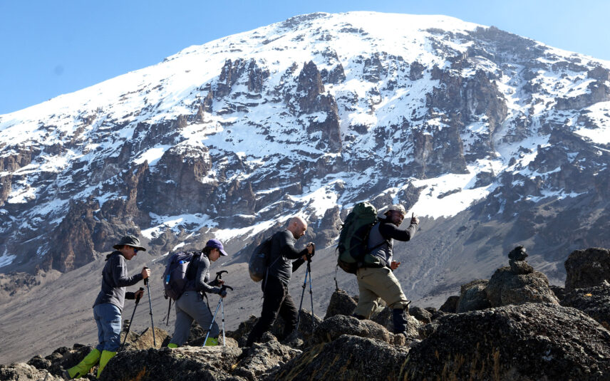 guide with trekkers hiking to summit of kilimanjaro
