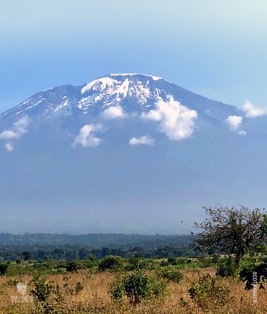 view of kilimanjaro from afar