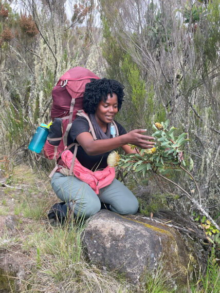 kilimanjaro guide philomena describing flora on trek