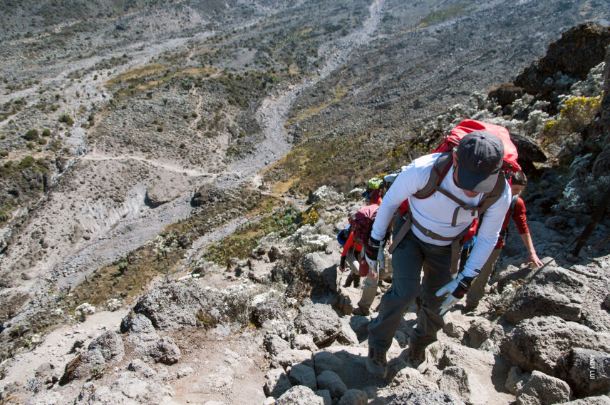thomson trekkers on barranco wall while trekking kilimanjaro umbwe route